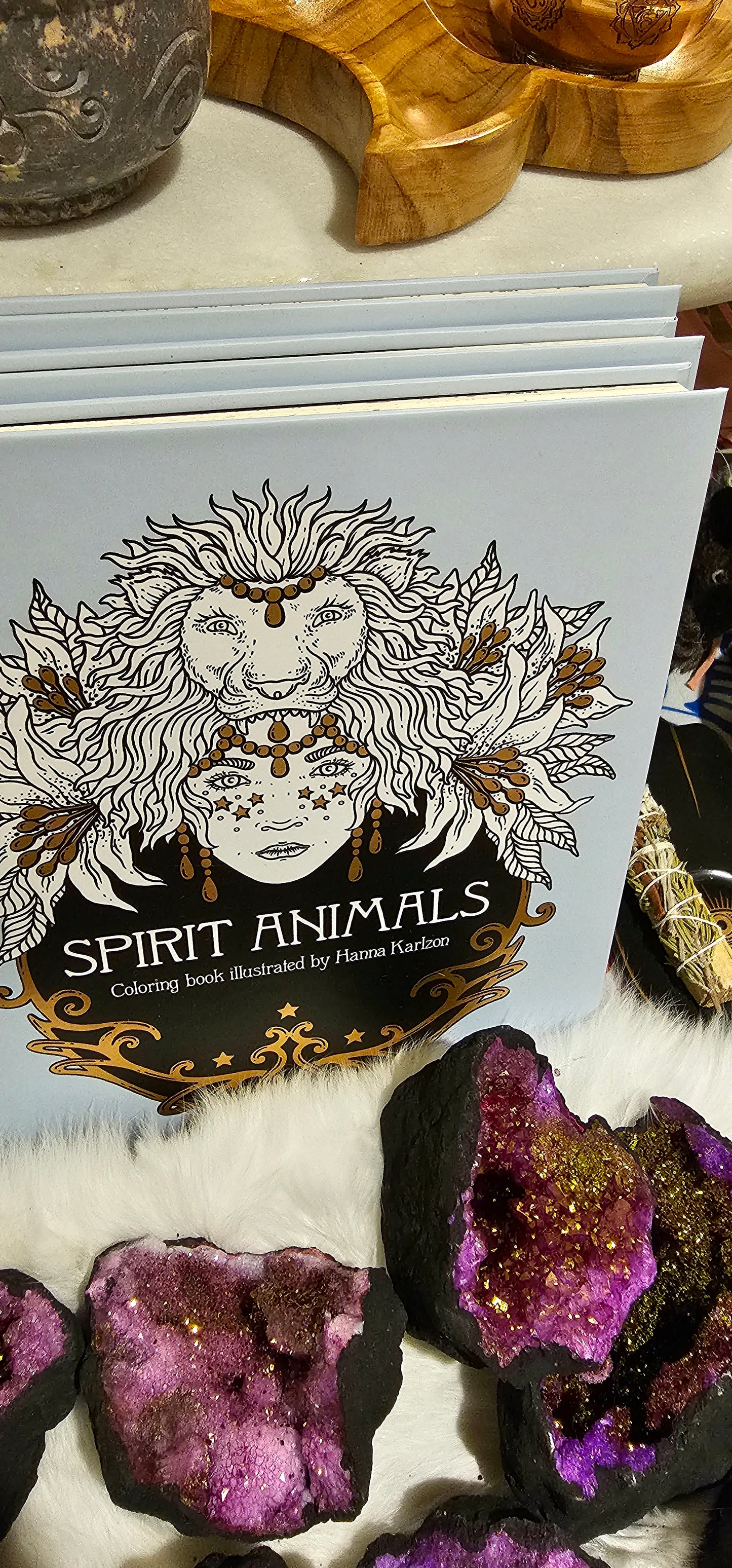 Spirit Animals Coloring Book