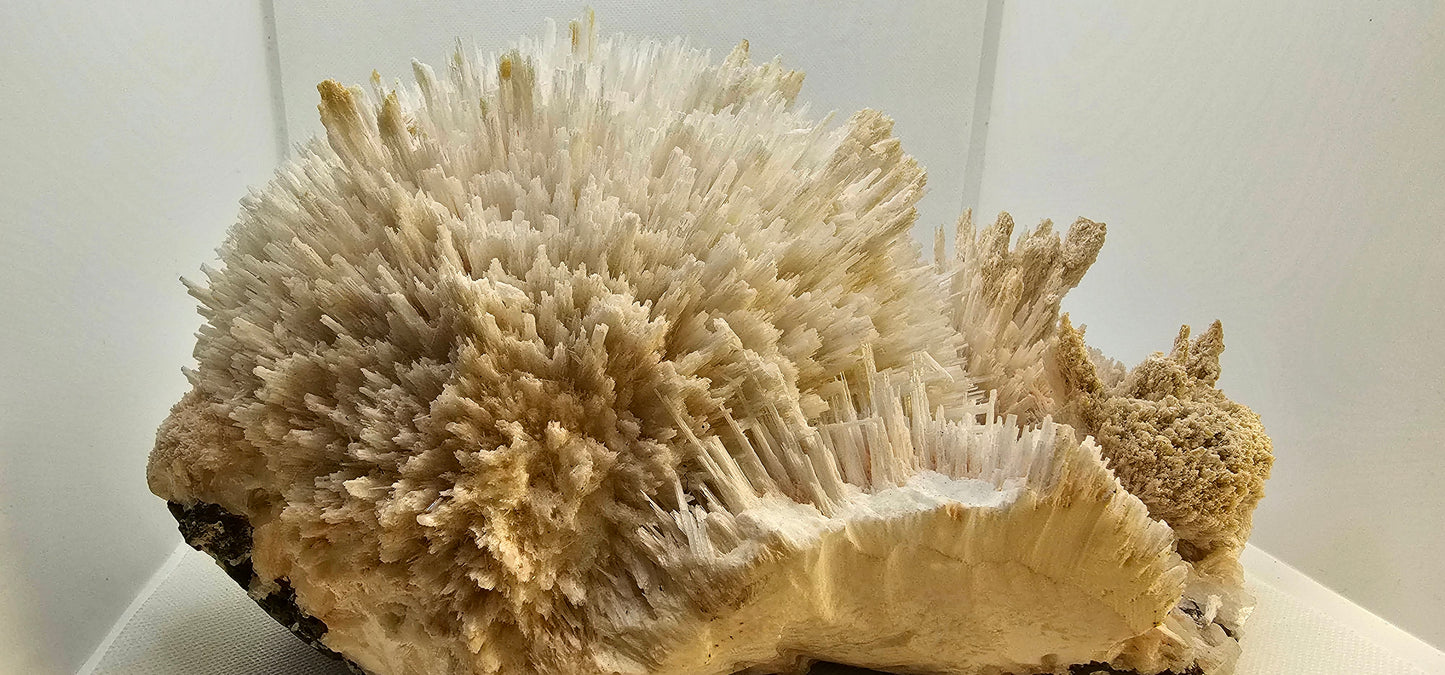 Apophyllite & Scoletcite