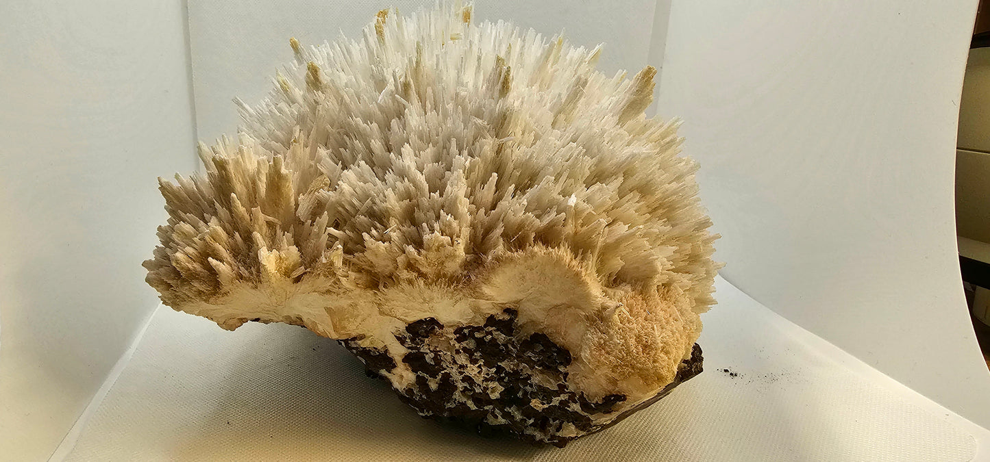 Apophyllite & Scoletcite