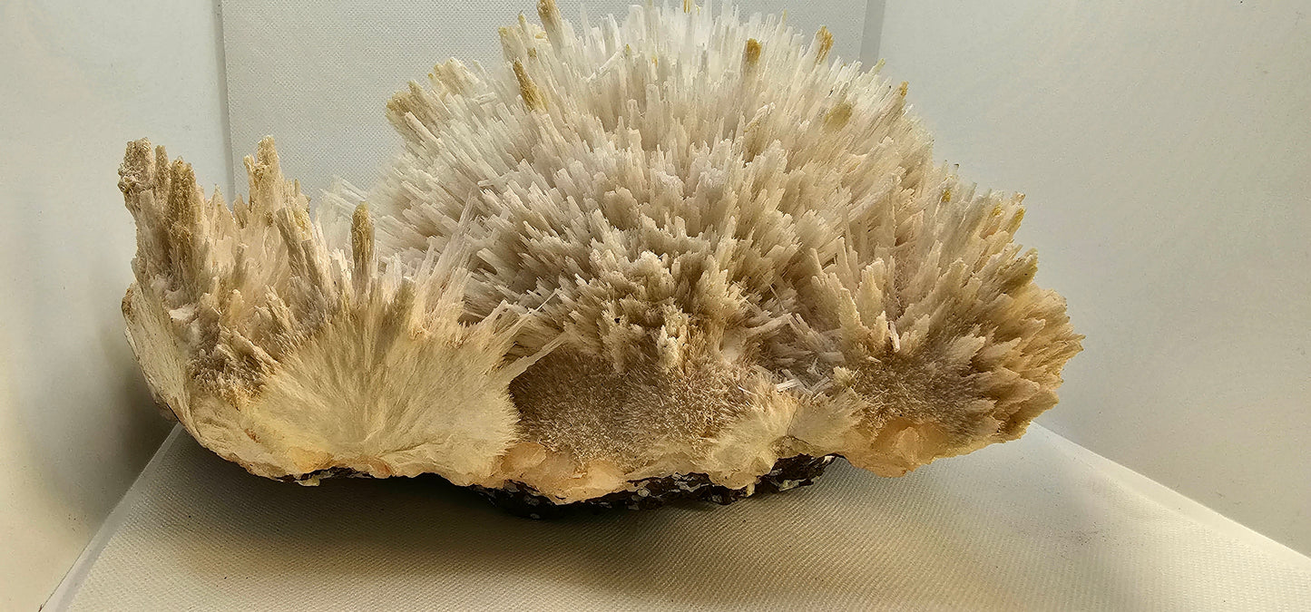 Apophyllite & Scoletcite