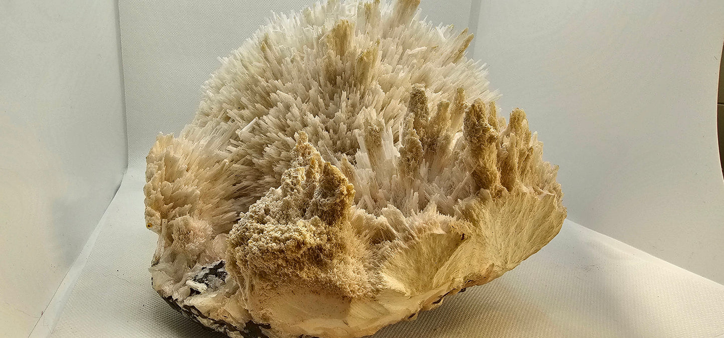 Apophyllite & Scoletcite