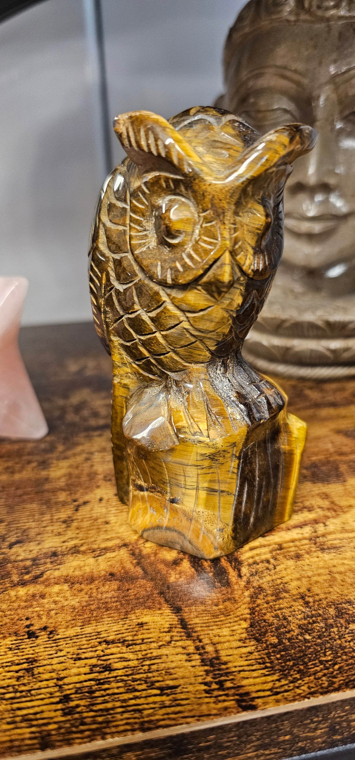 Tigers Eye Large Owl