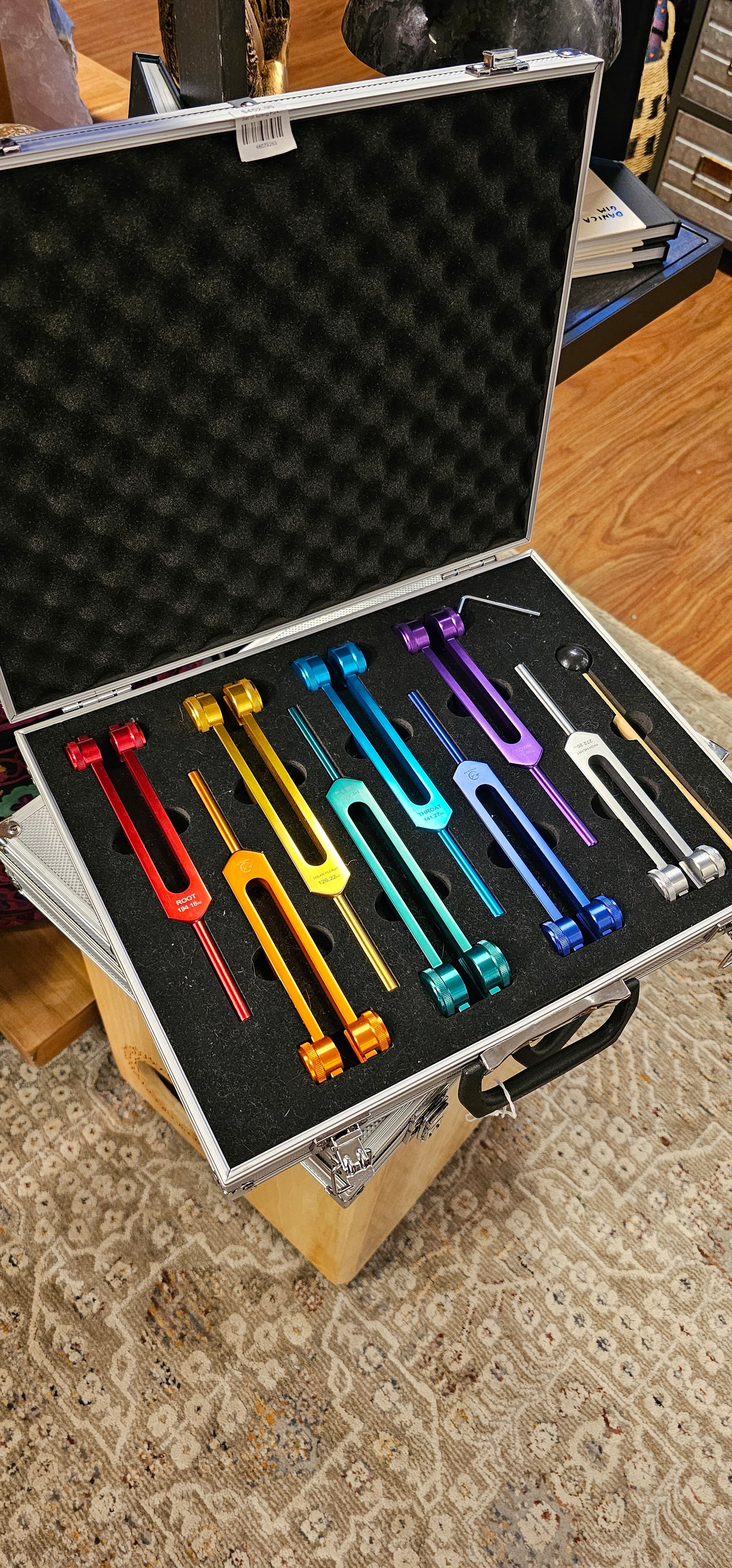 Set of Tuning Forks in Case