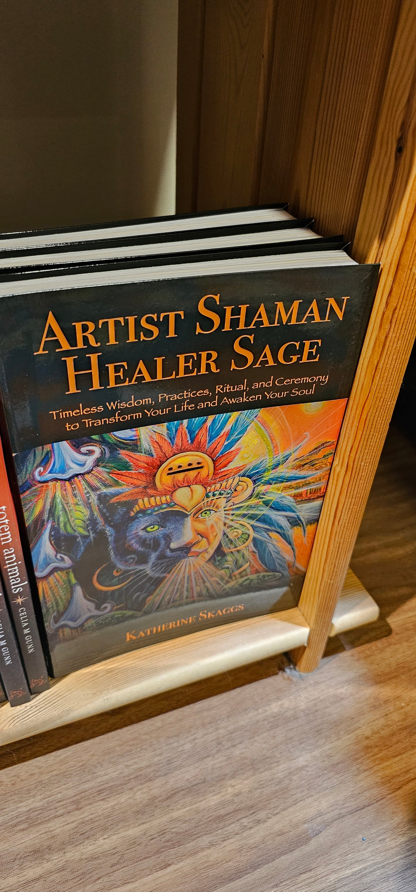 Artist Shaman Healer Sage