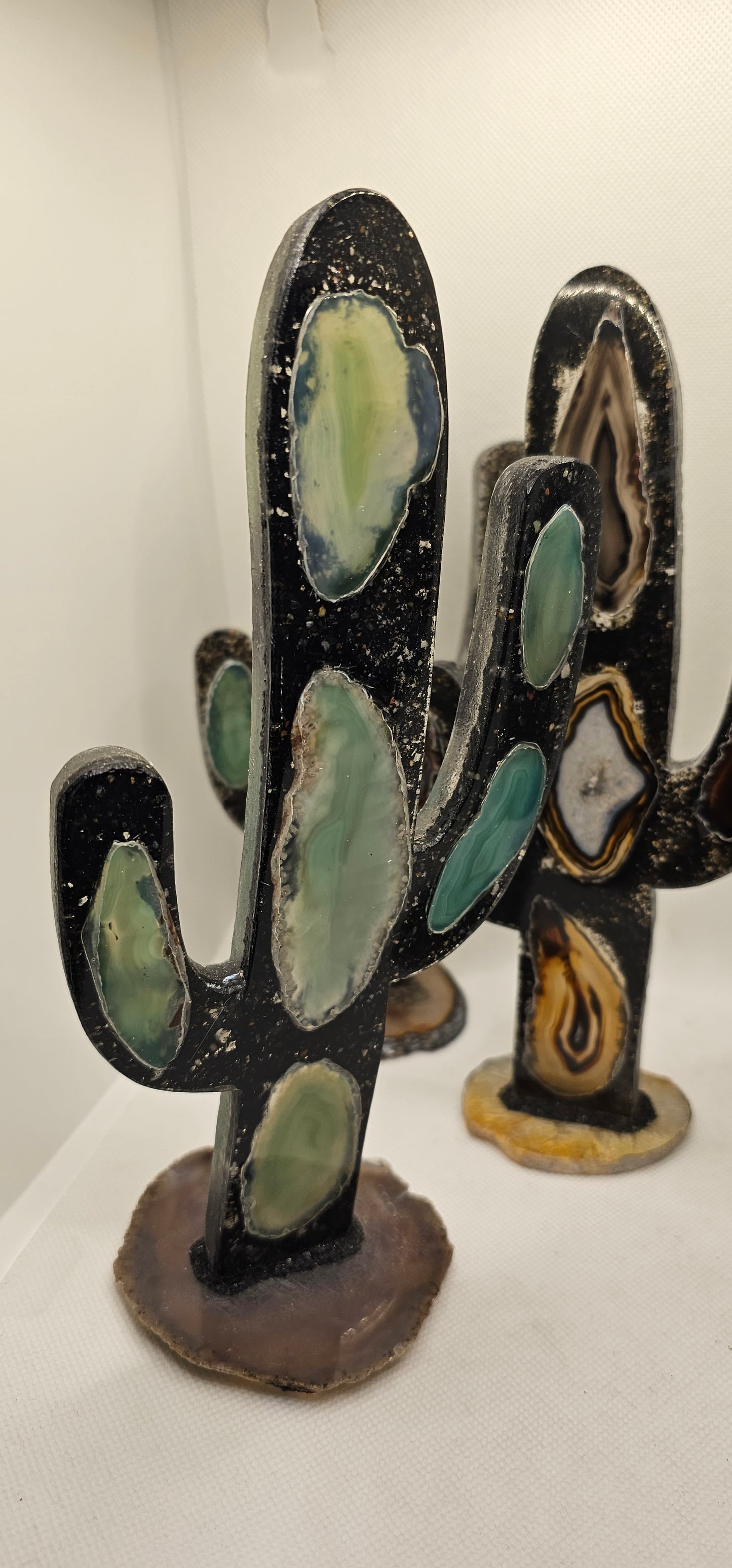 Cactus Geode Encoated in Resin