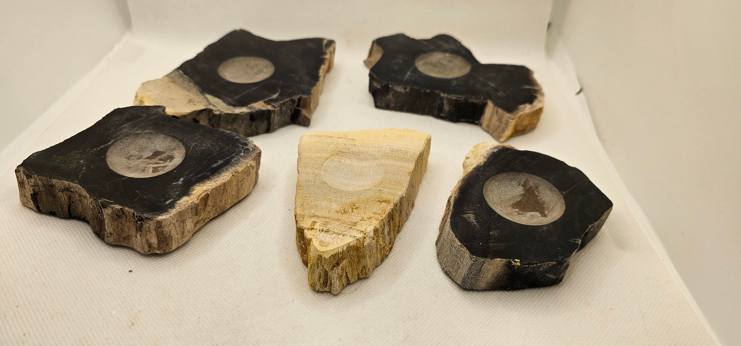 Petrified Wood Sphere Stands