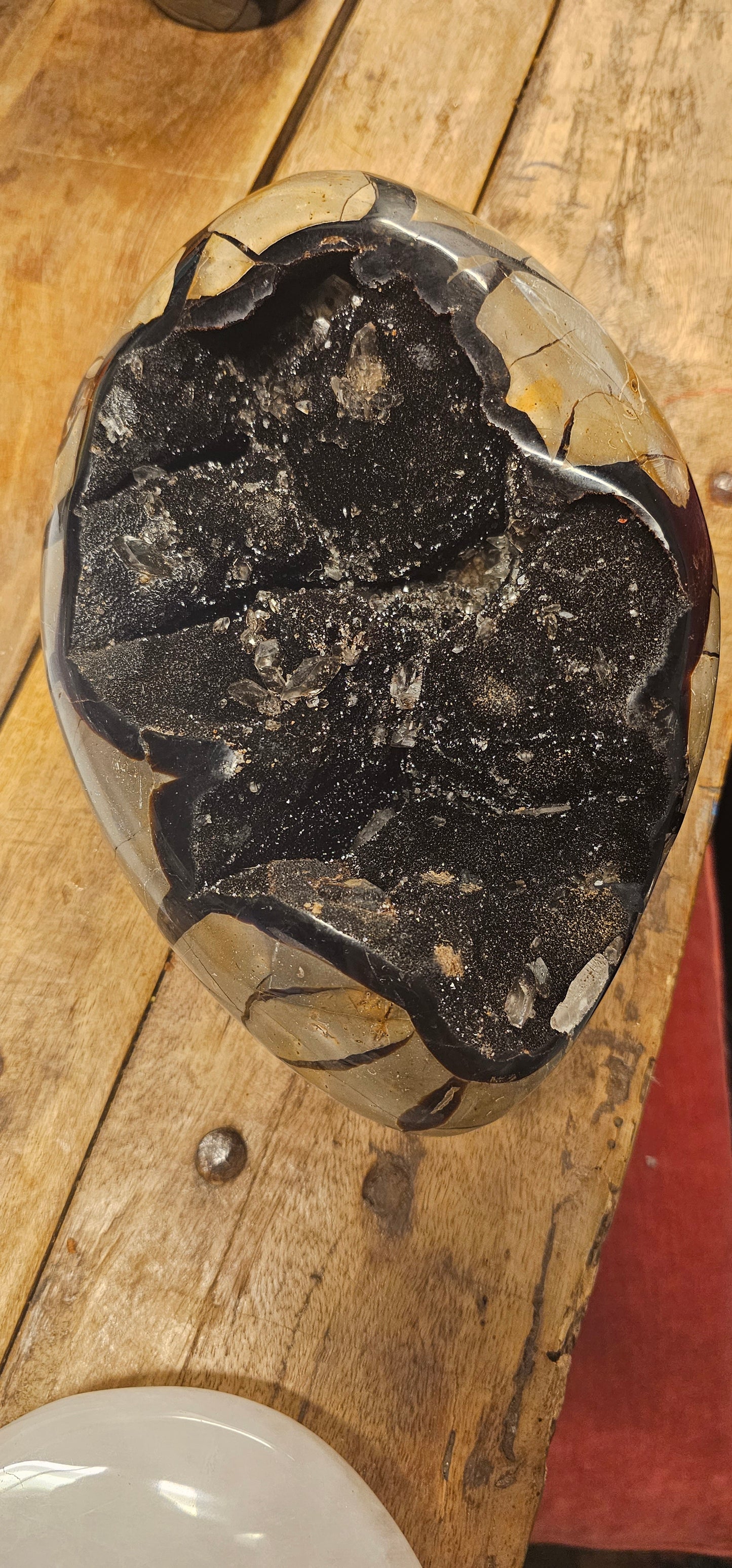 Septarian Egg with Upright Stance