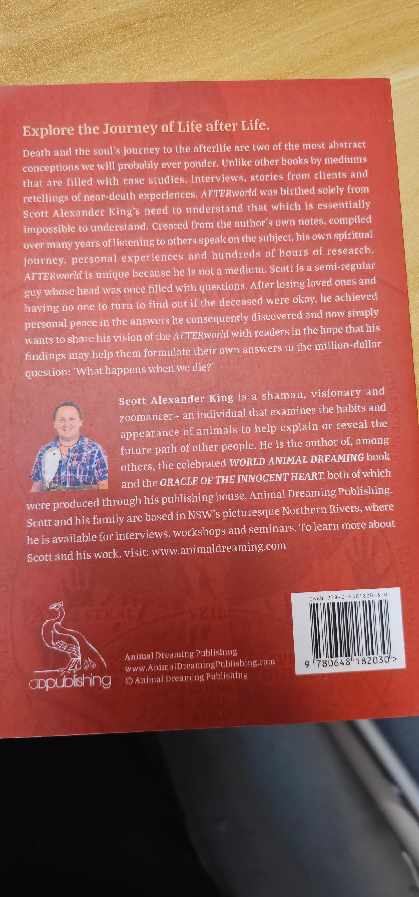 After World- The Journey of Life After Life- Book