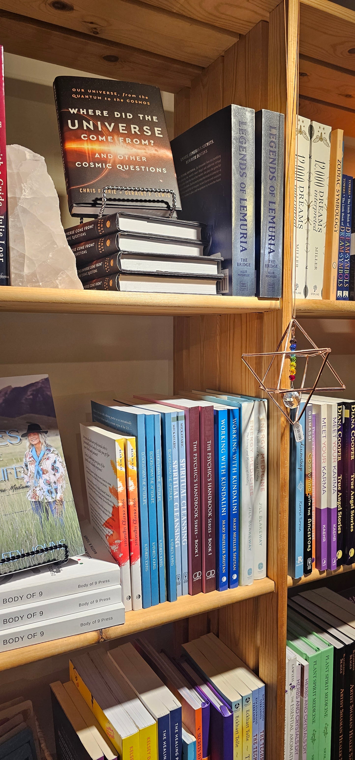 Book Echoes from the Afterlife