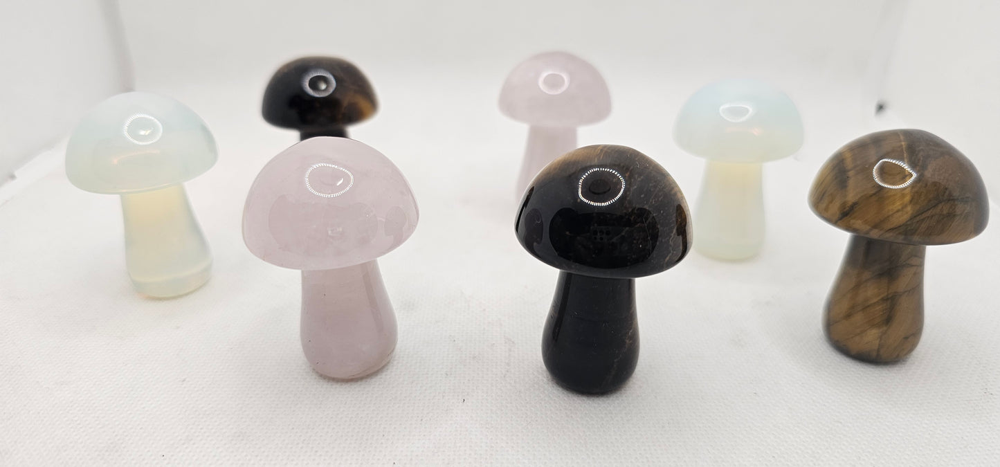 Stone Mushroom Various Types 2 Inches