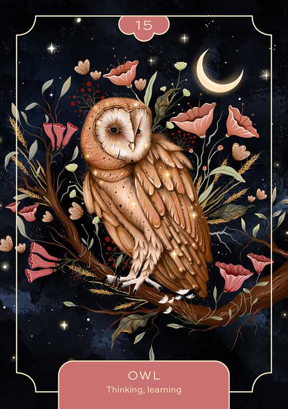 Animal Spirit Oracle by Lea Androic: Flashcards; 96 pages / English
