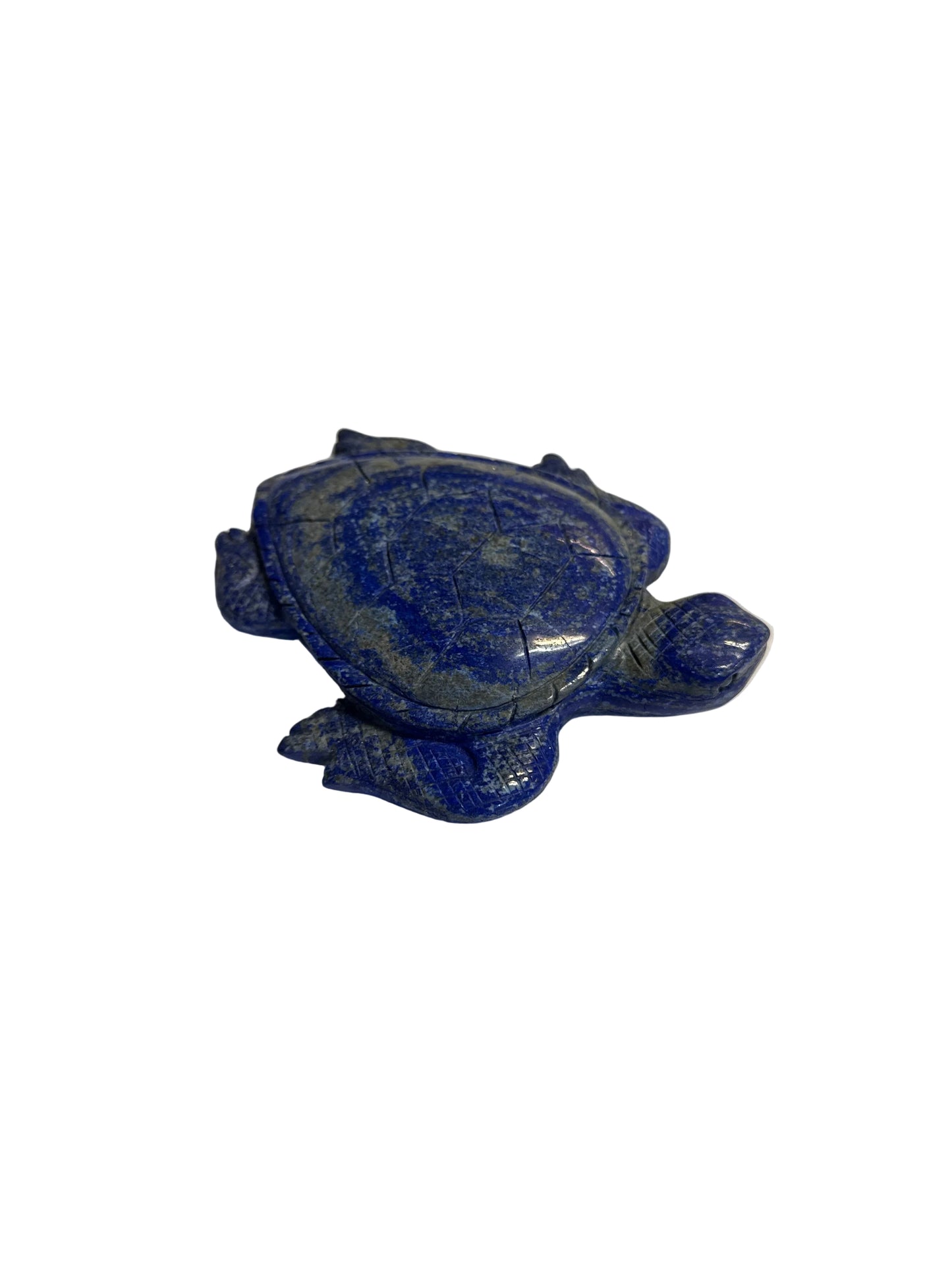 Turtle Lapis Lazuli