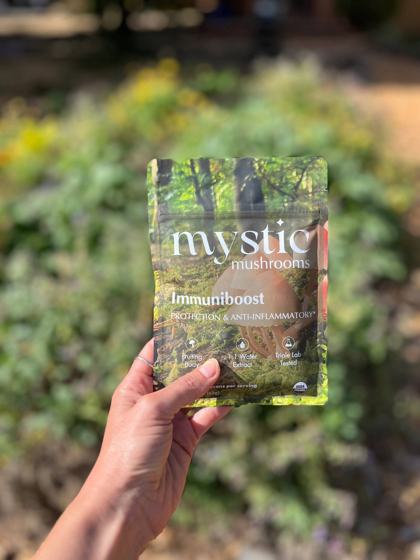 ImmuniBoost - Chaga, Phellinus, Reishi & Turkey Tail