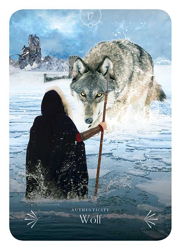 Divine Animals Oracle by Stacey Demarco: Boxed Set/Slip Cased/Casebound; 180 pages / English