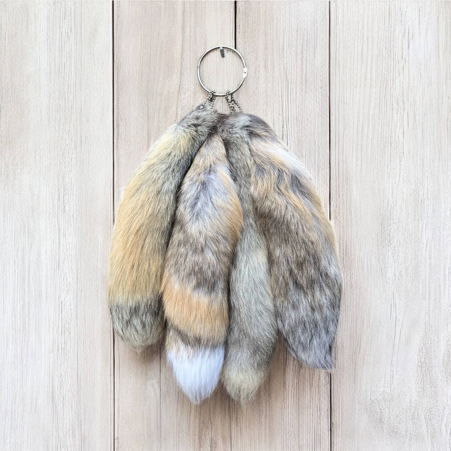 Tan Swirl mutation tail