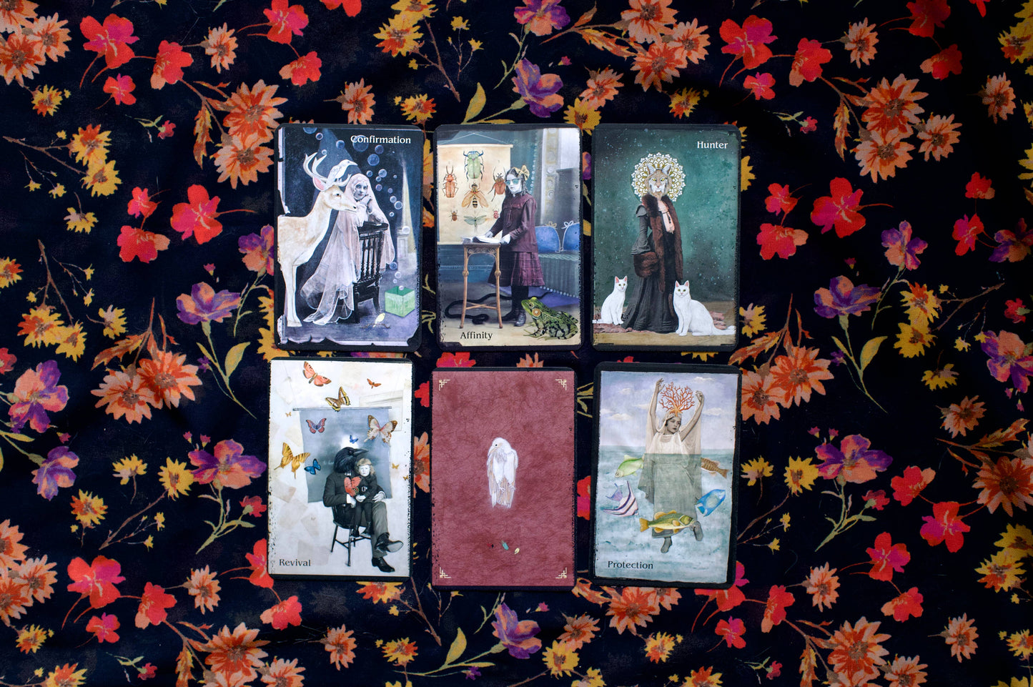The Oracle of Rewilding: 44 Cards & 176-Page Guidebook