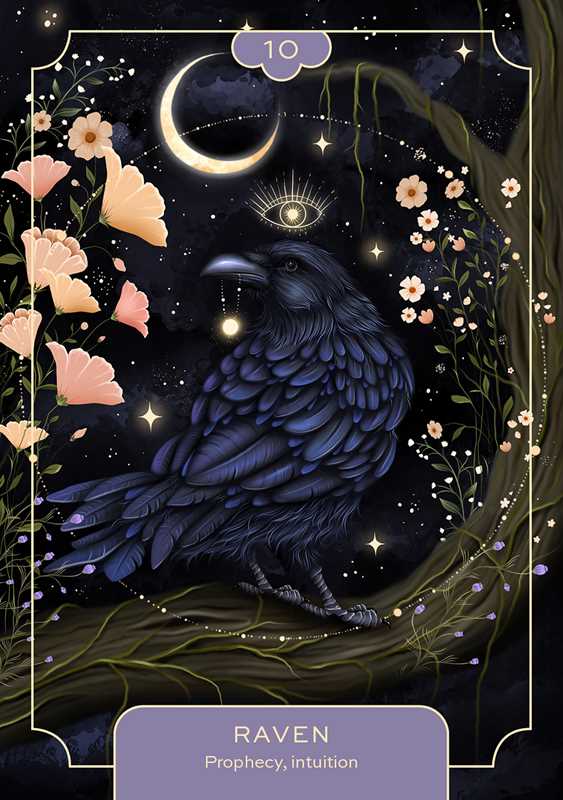 Animal Spirit Oracle by Lea Androic: Flashcards; 96 pages / English