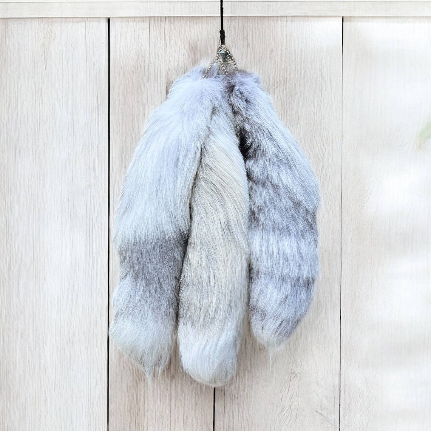 Silver Swirl Fox mutation tail