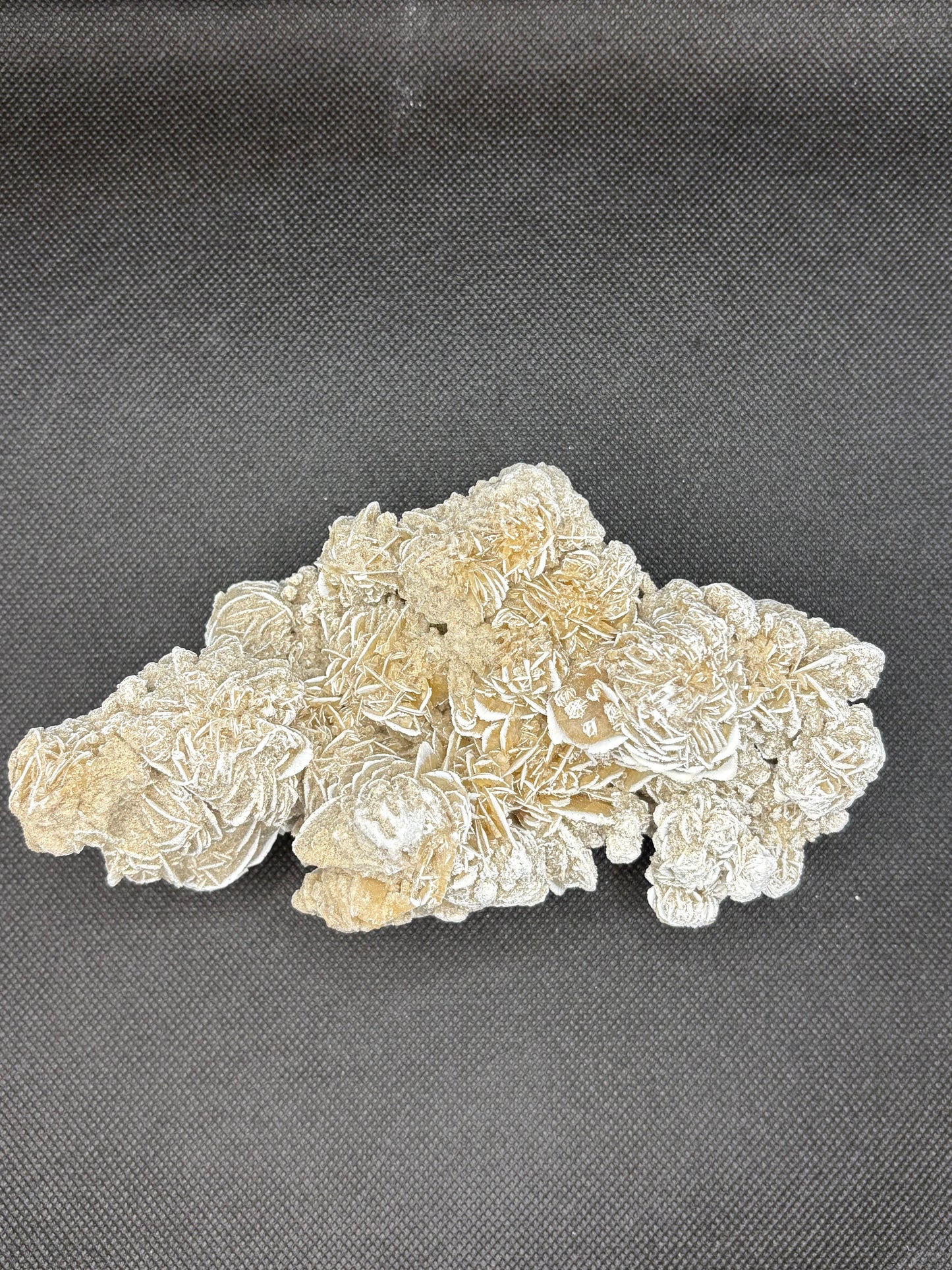 Desert Rose Cluster Small