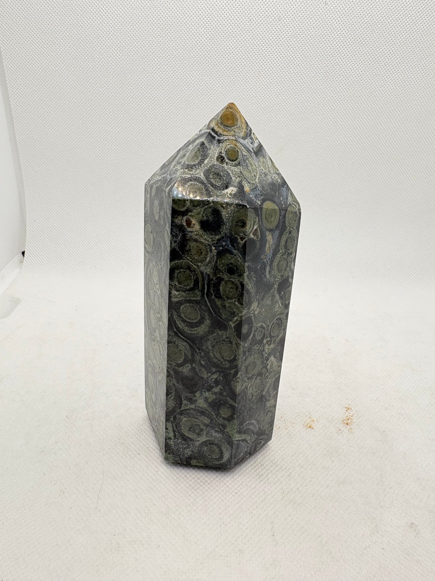 Crocodile Jasper Tower