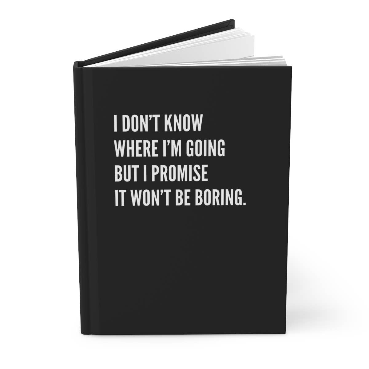 Music Lovers Journal I Promise it won't be boring