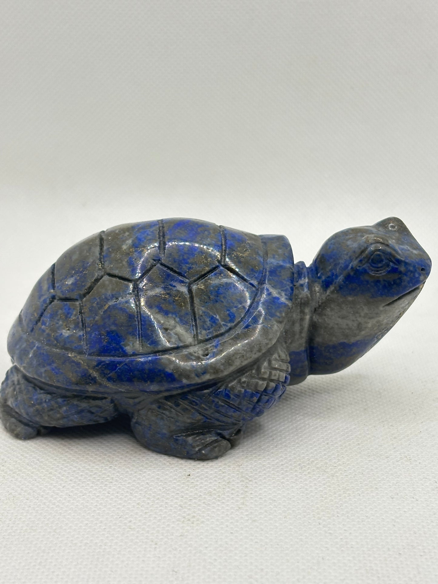 Turtle Lapis