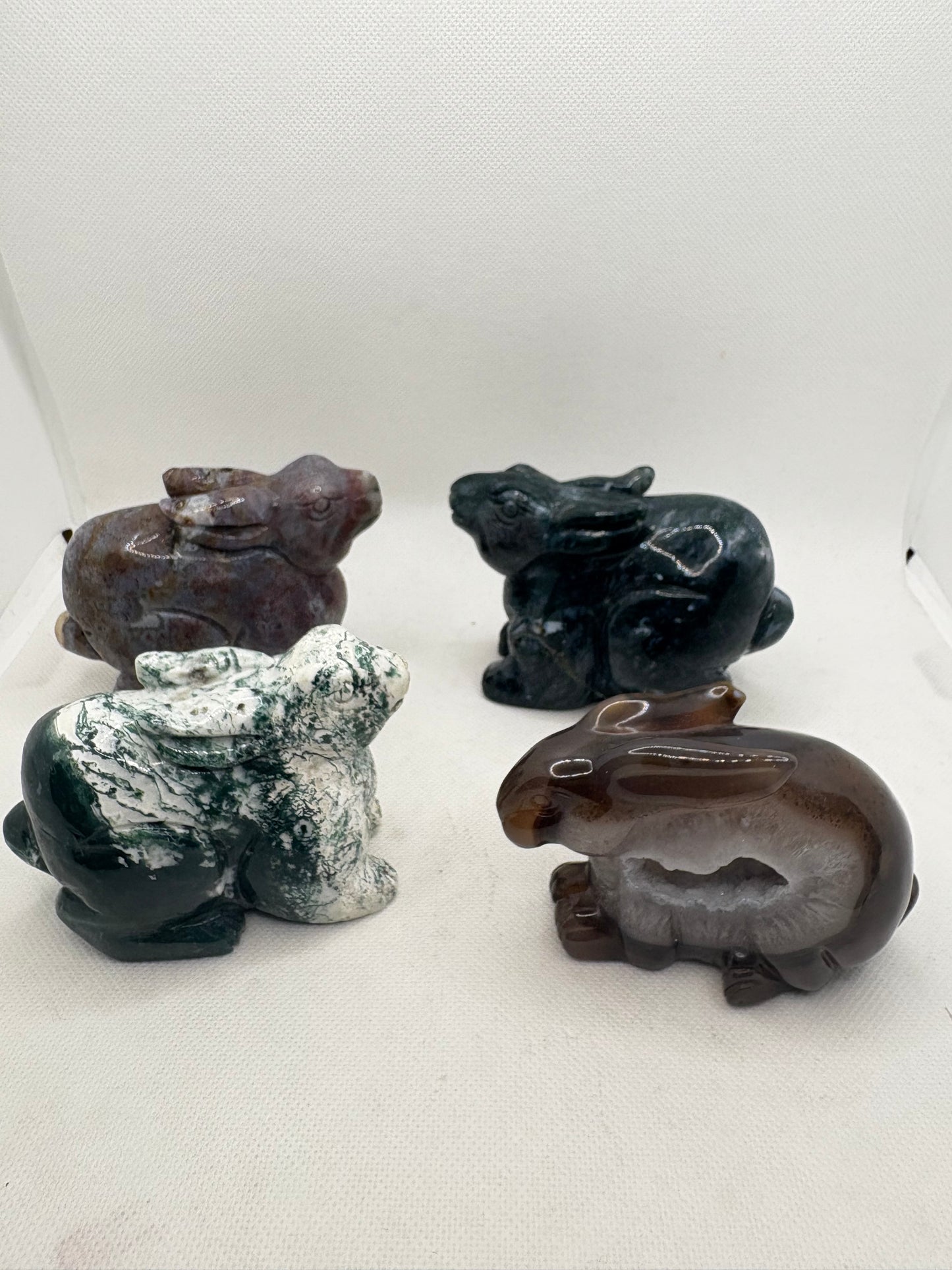 Bunny Rabbit Various Stones