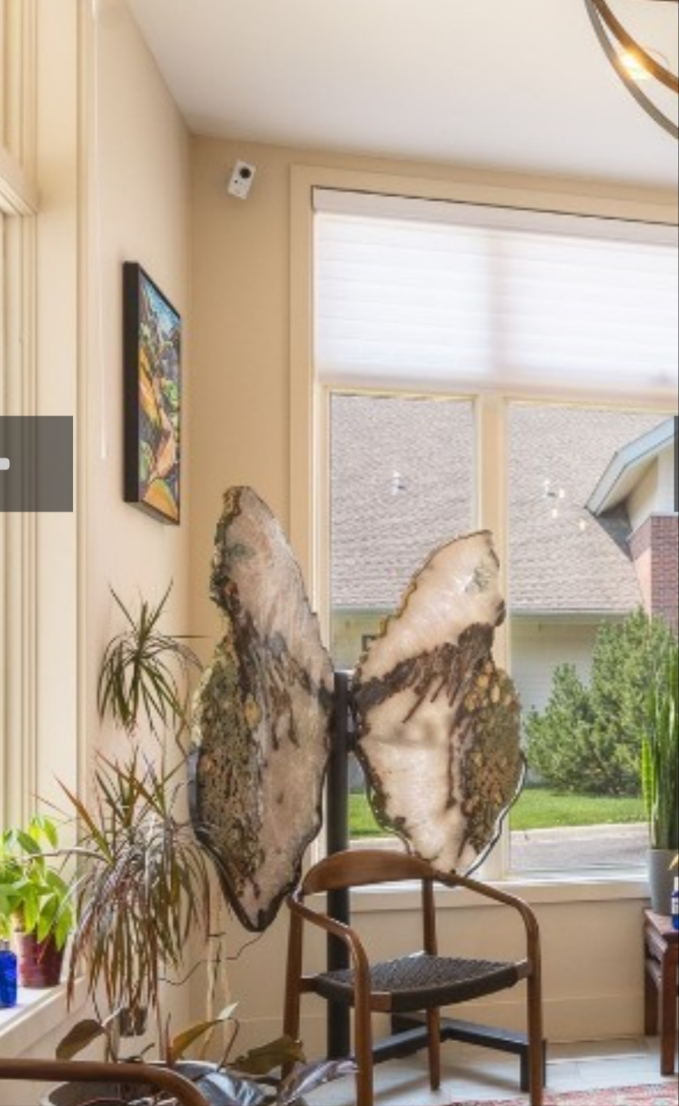 Large Butterfly wings on stand (humanoid size) 😀