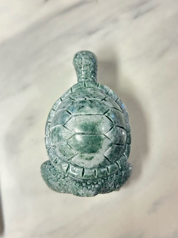 Turtle Mariposite