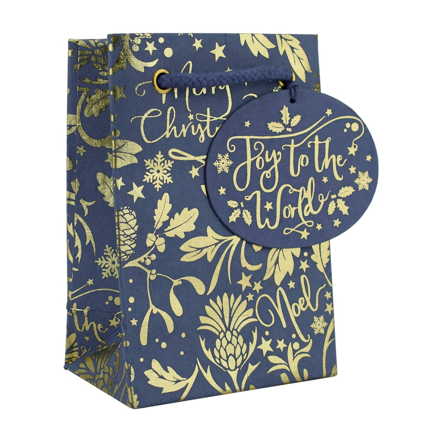 JOY WORLD BLUE SM BAG & TAG