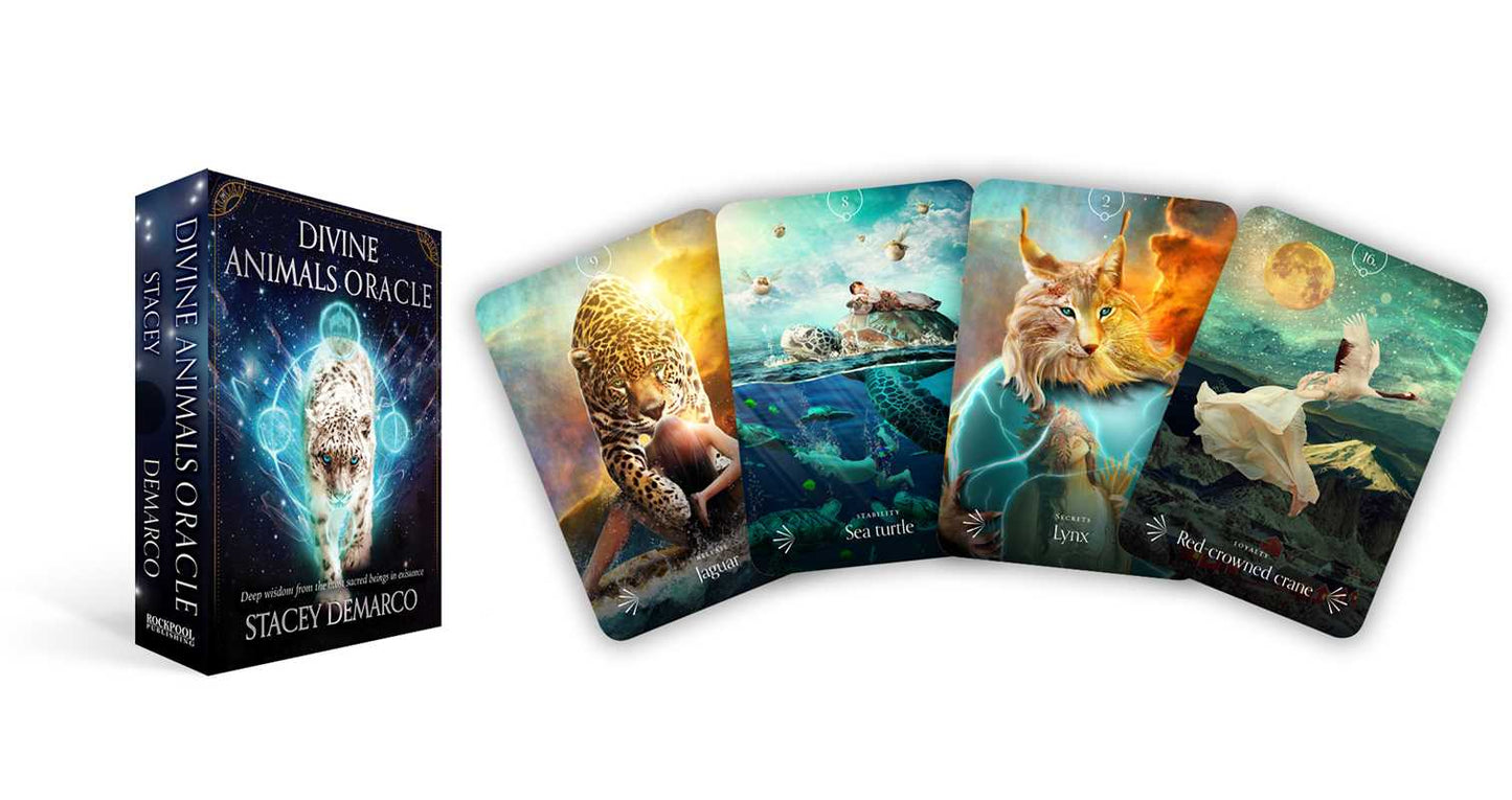 Divine Animals Oracle by Stacey Demarco: Boxed Set/Slip Cased/Casebound; 180 pages / English