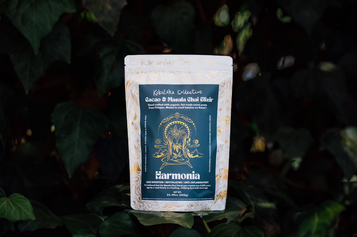 Harmonia - Masala Chai & Ceremonial Cacao Elixir