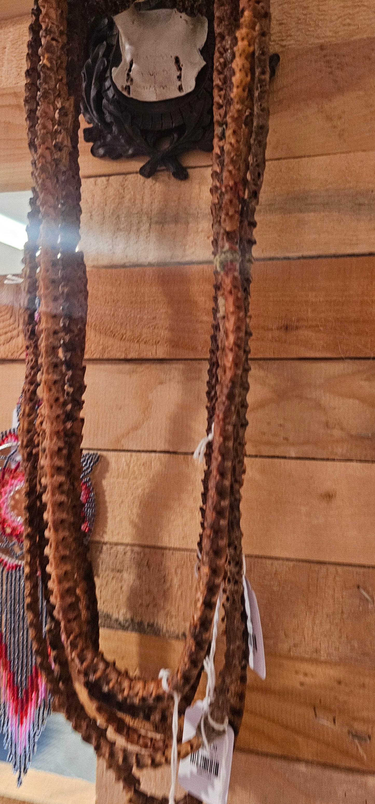 Snake Spine 17 Inch Necklace