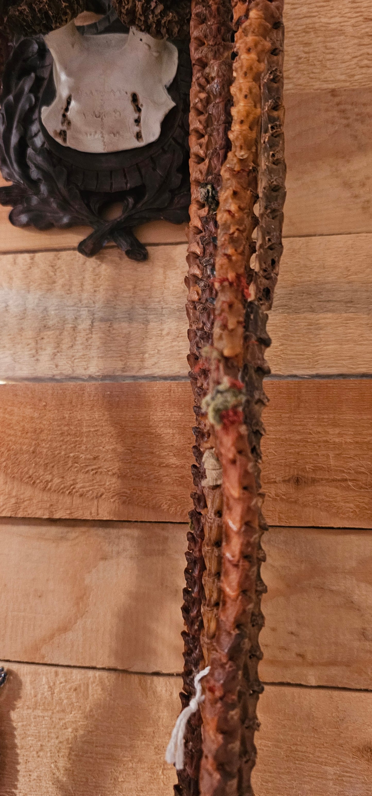 Snake Spine 17 Inch Necklace