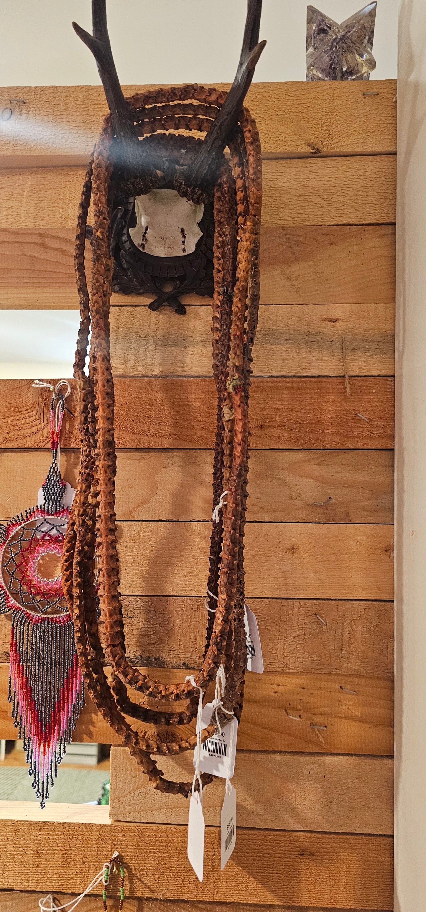 Snake Spine 17 Inch Necklace