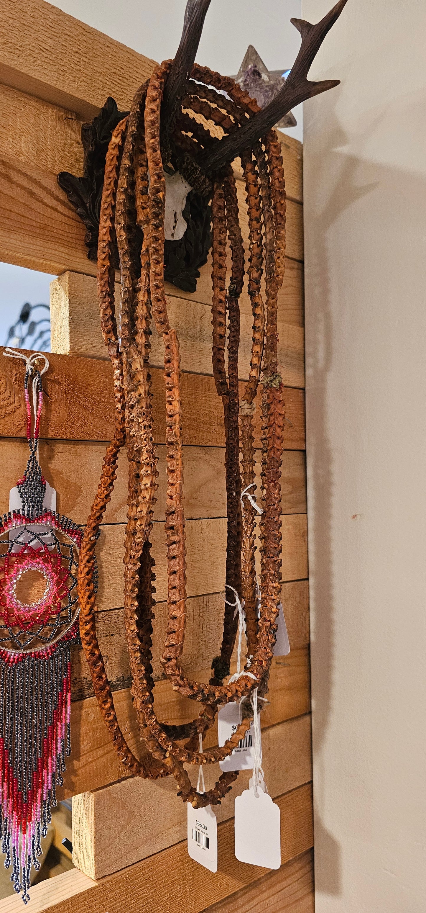 Snake Spine 17 Inch Necklace