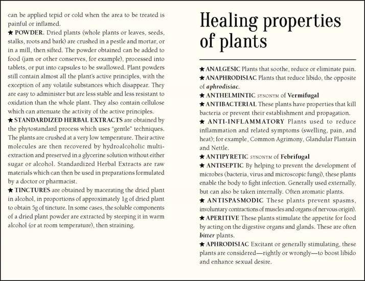 50 Plants that Heal: Discover Medicinal Plants. Card Deck.