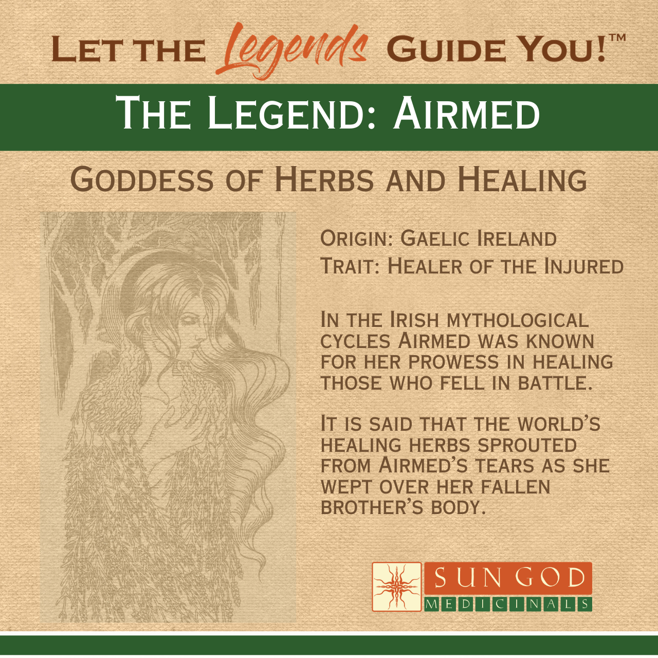 Organic Airmed Digestion Tea 2oz