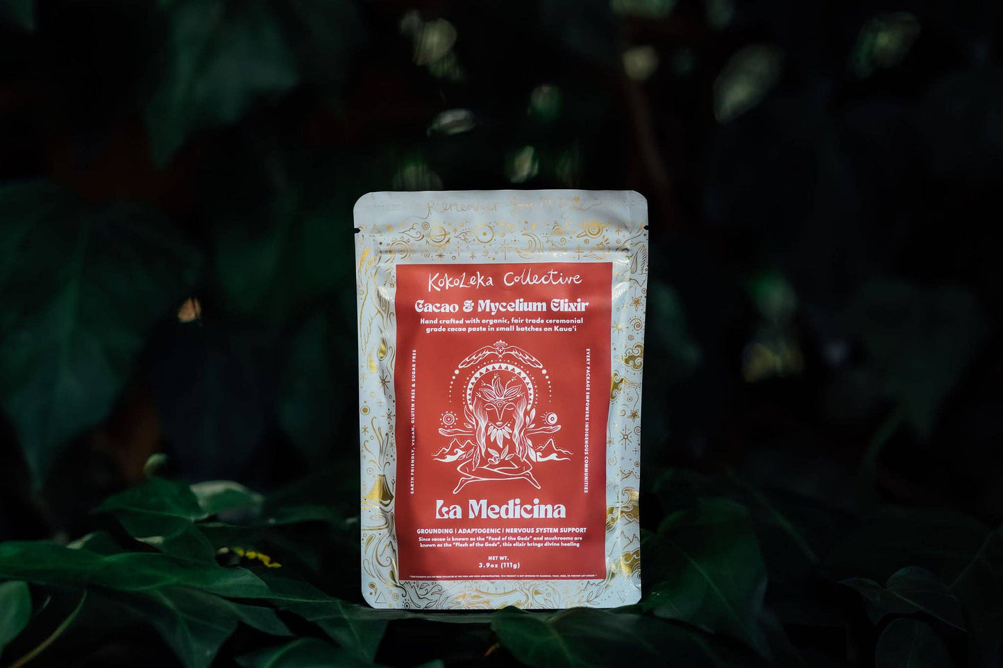 La Medicina - Medicinal Mushrooms Ceremonial Cacao Elixir: 333g