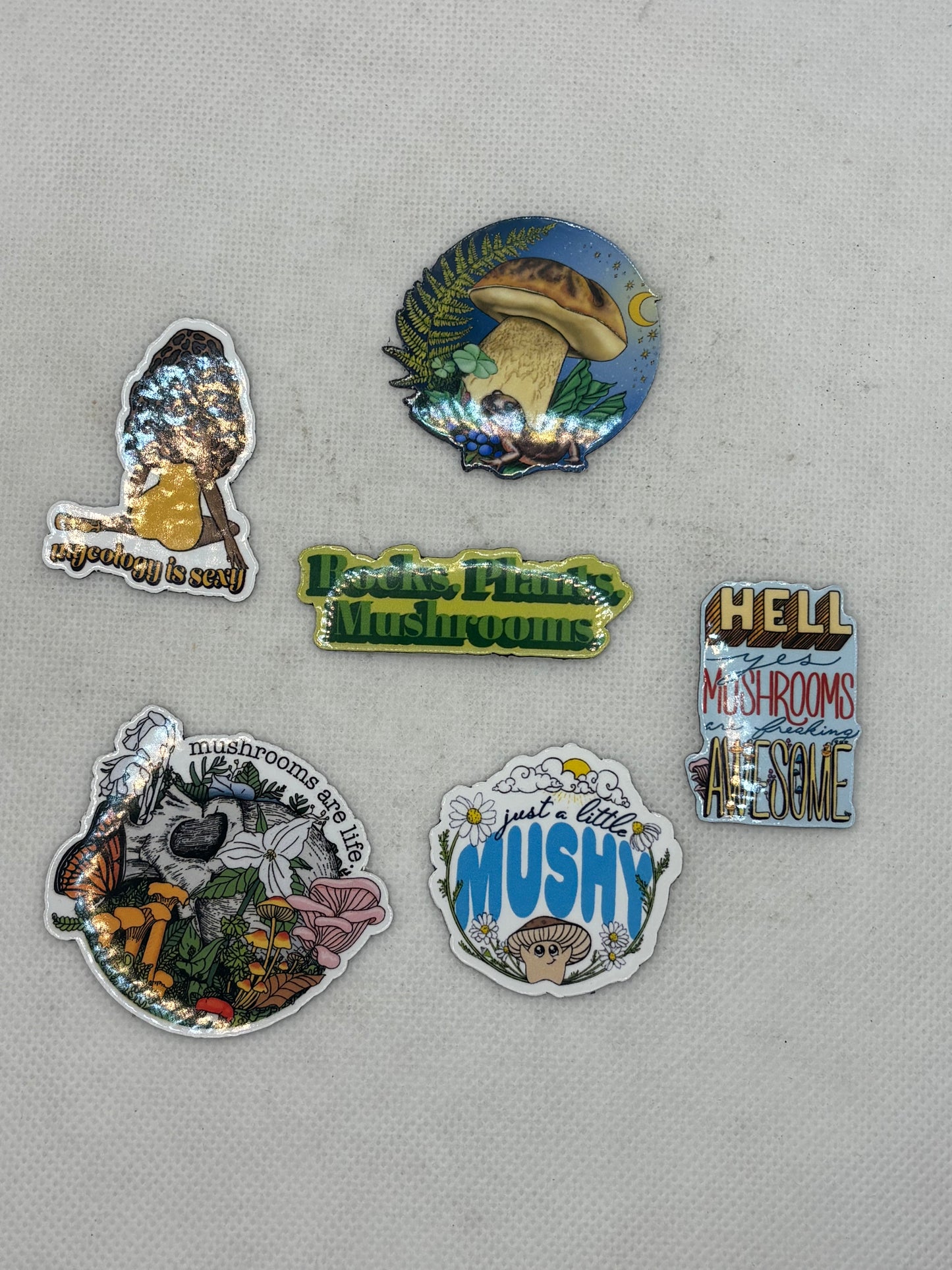 Mushroom Magnet Various