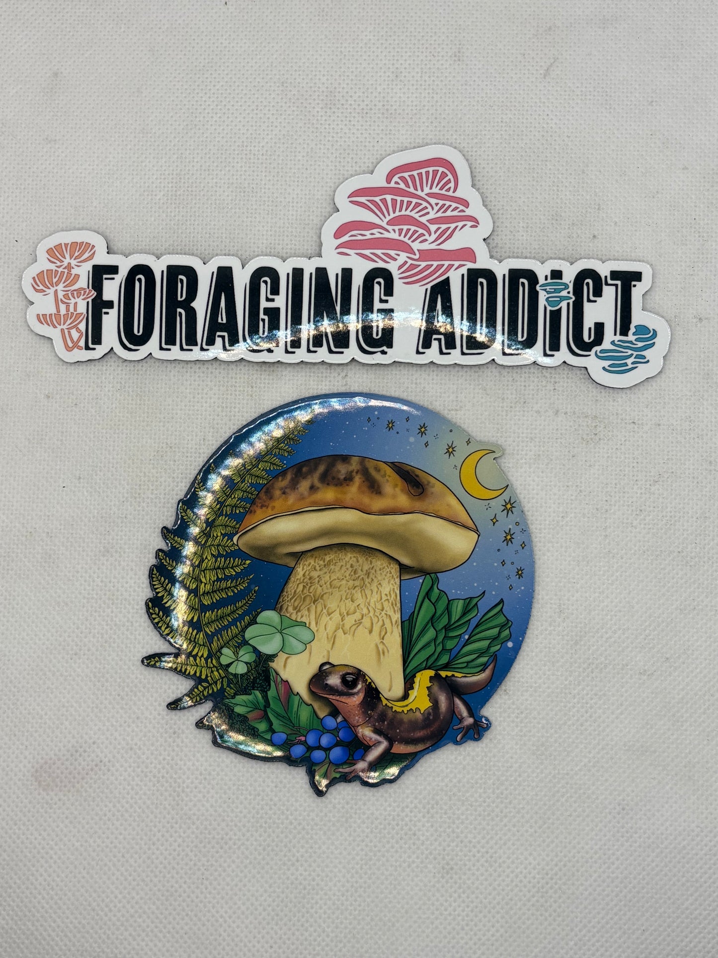 Mushroom Magnet Various