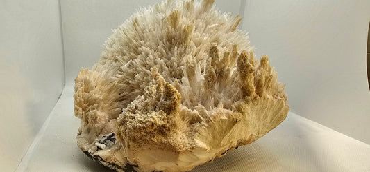 Apophyllite & Scoletcite