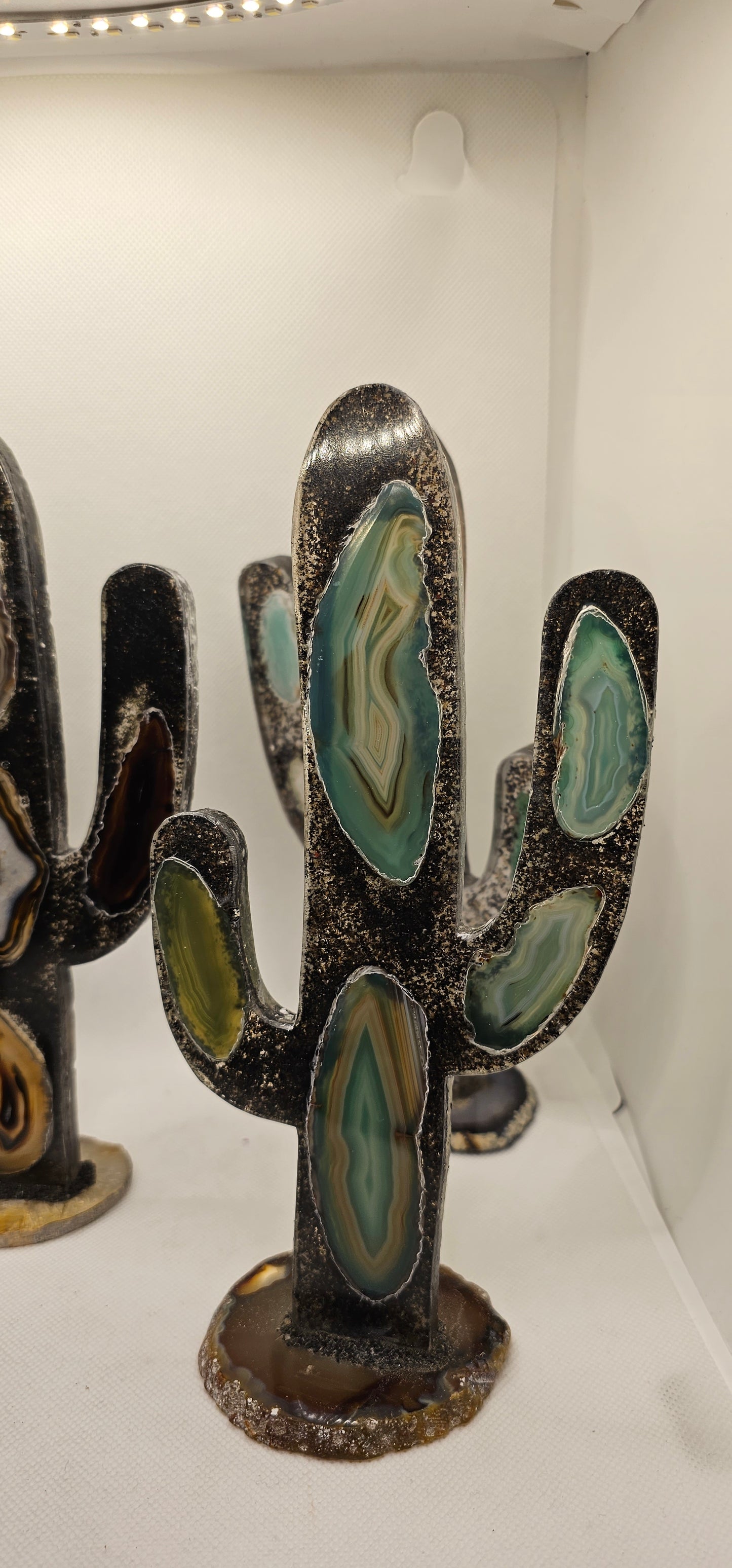 Cactus Geode Encoated in Resin