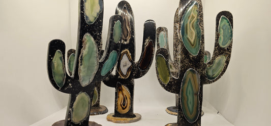 Cactus Geode Encoated in Resin