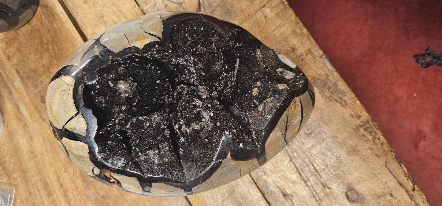Septarian Egg