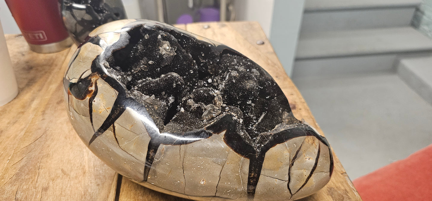 Septarian Egg