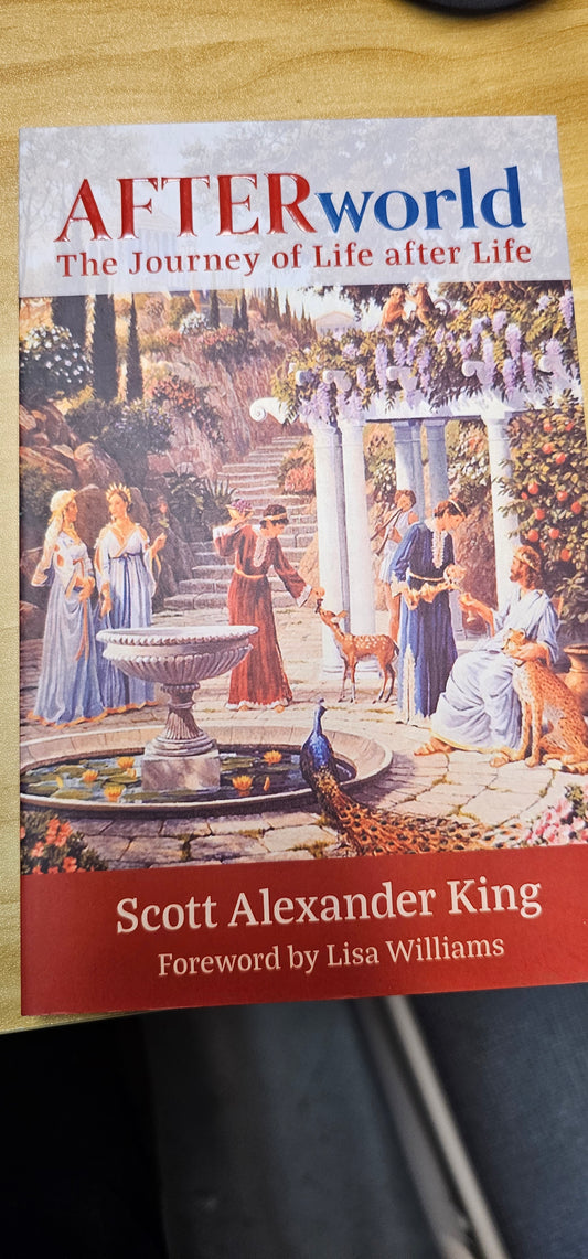 After World- The Journey of Life After Life- Book