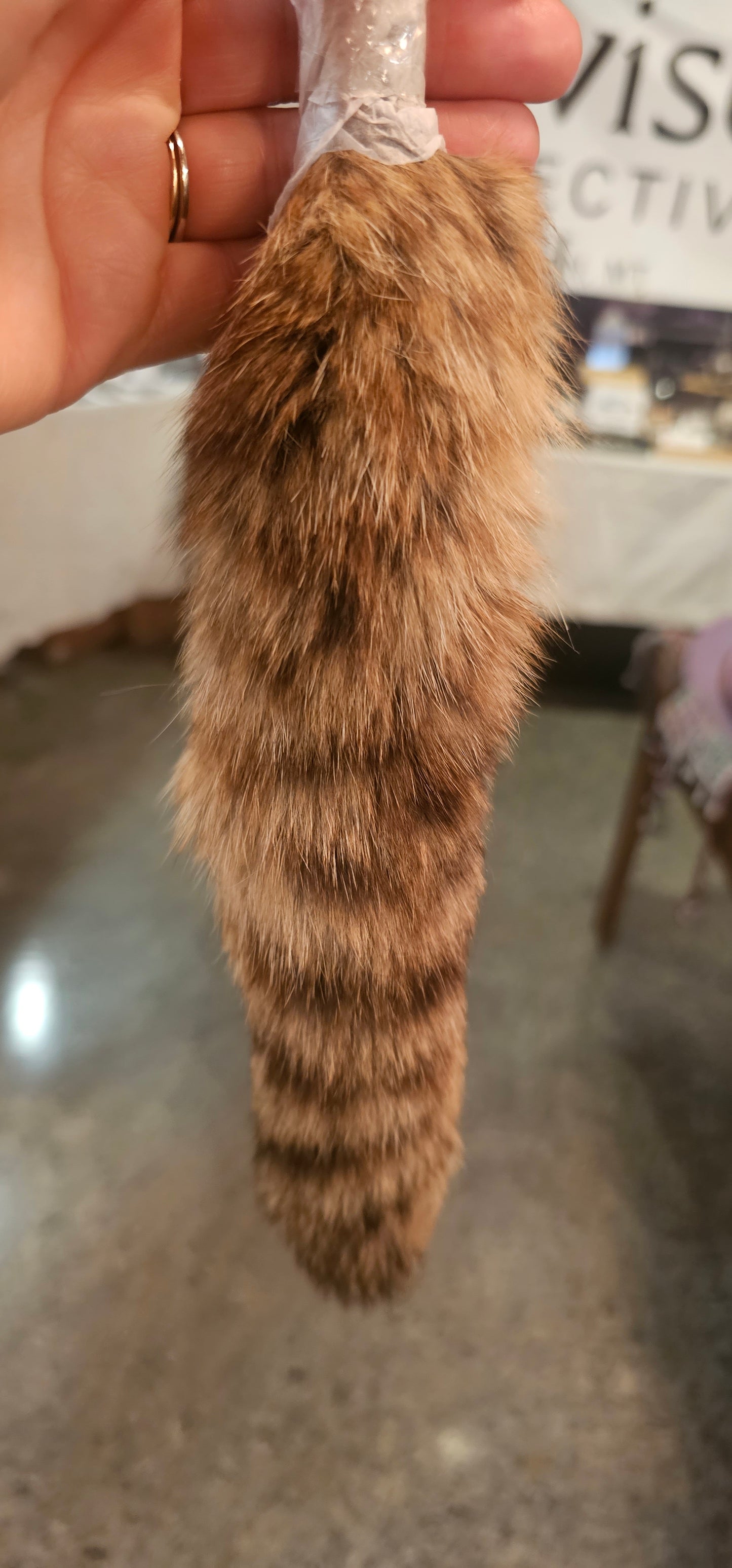 Racoon Tails