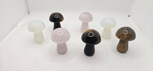 Stone Mushroom Various Types 2 Inches