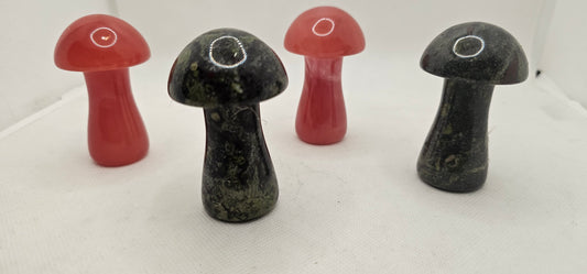 Stone Mushroom Various Types 2.5 Inches